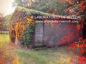Laboratorio de Belizal 2012 web